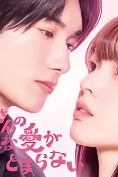 黑崎先生停不下来的专一之爱