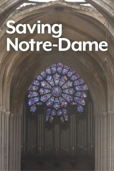 修复巴黎圣母院
