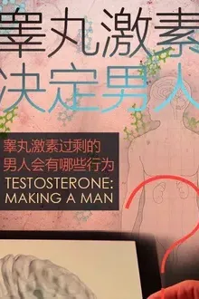 睾丸激素决定男人