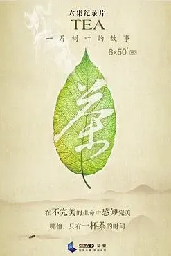 茶，一片树叶的故事