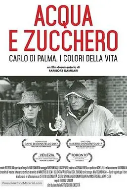 水与糖：摄影家卡洛·迪·帕尔马的生活与色彩