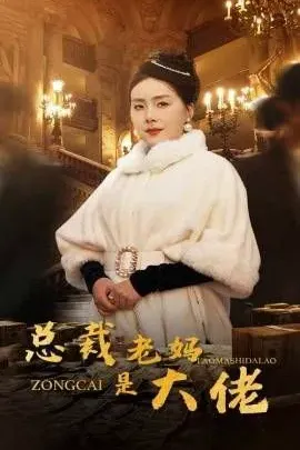 总裁老妈是大佬