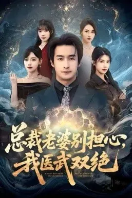 总裁老婆别担心，我医武双绝