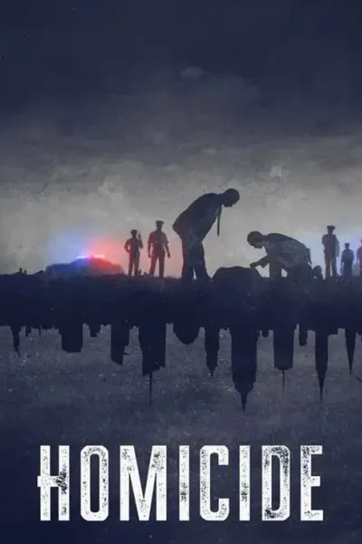 凶杀重案实录：纽约 第二季