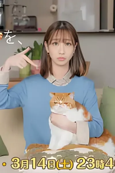 我收留了前男友的猫