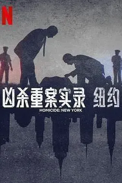 凶杀重案实录：纽约