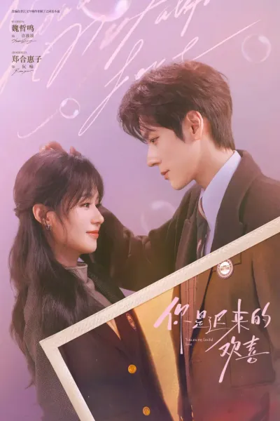 你是迟来的欢喜