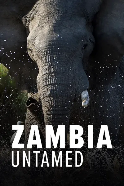 狂野赞比亚 第一季