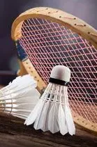 巴黎奥运会女子双打铜牌赛 蒂娜-陈康乐vs志田千阳-松山奈未