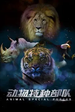 动物特种部队 第二季