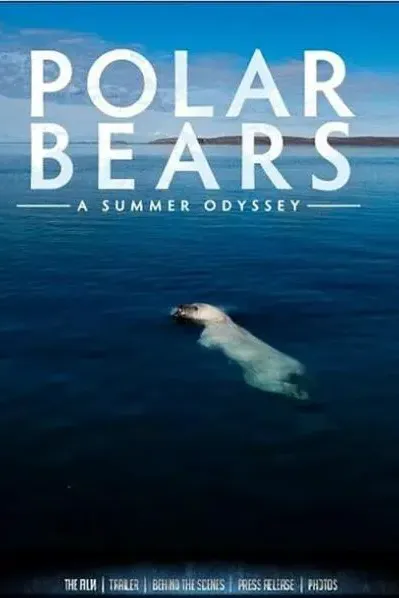 北极熊：一个夏天的奥德赛