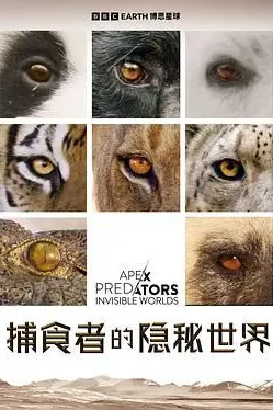 捕食者的隐秘世界