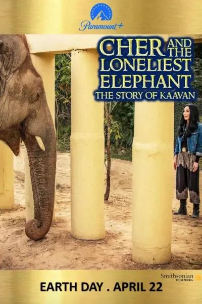 雪儿和最孤独的大象