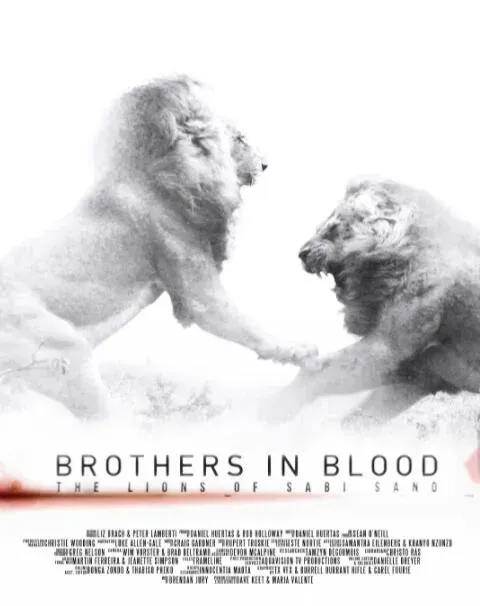 狮王之路海报 - 2015 南非 South Africa纪录片