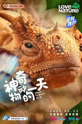 神奇动物的一天 第一季海报 - 2020 加拿大纪录片