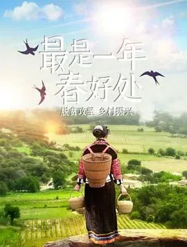 最是一年春好处海报 - 2020 中国大陆纪录片