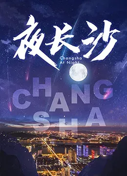 夜长沙海报 - 2020 大陆纪录片