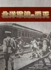 北洋军阀的覆灭海报 - 2020 大陆纪录片