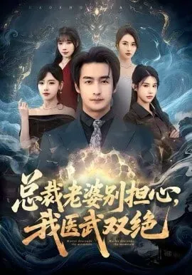 总裁老婆别担心，我医武双绝海报 - 2026 中国大陆言情总裁