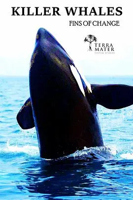 北极虎鲸海报 - 2014 奥地利纪录片