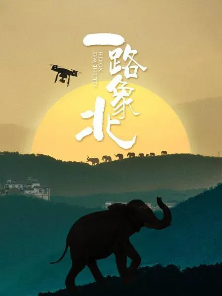一路“象”北海报 - 2021 中国大陆纪录片