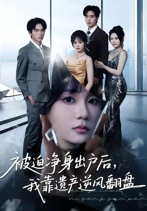 被迫净身出户后，我靠遗产逆风翻盘海报 - 2026 中国大陆现代都市