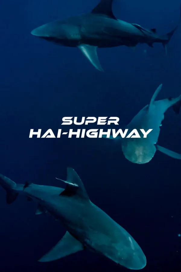超級鯊魚大道(港)海报 - 2024 澳大利亚纪录片