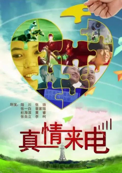 真情来电海报 - 2010 中国大陆纪录片