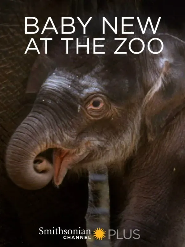 动物园里的新宝宝海报 - 2007 美国纪录片