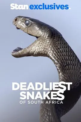 南非致命毒蛇海报 - 2016 南非纪录片