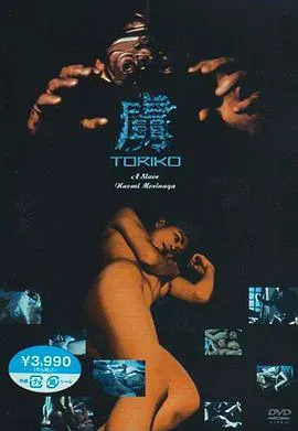 虏海报 - 1995 日本伦理片