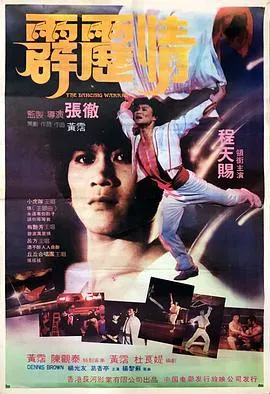 霹雳情海报 - 1985 中国香港动作片