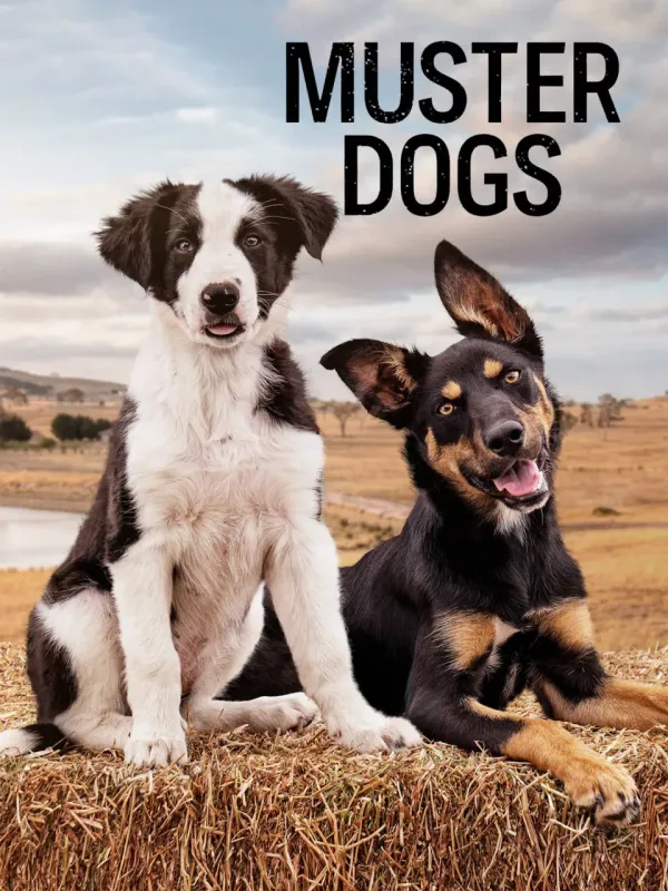 召集狗 第三季海报 - 2025 英国纪录片