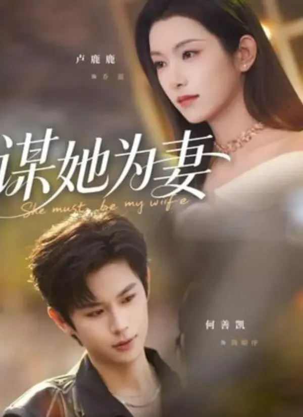 谋她为妻海报 - 2026 中国大陆现代都市