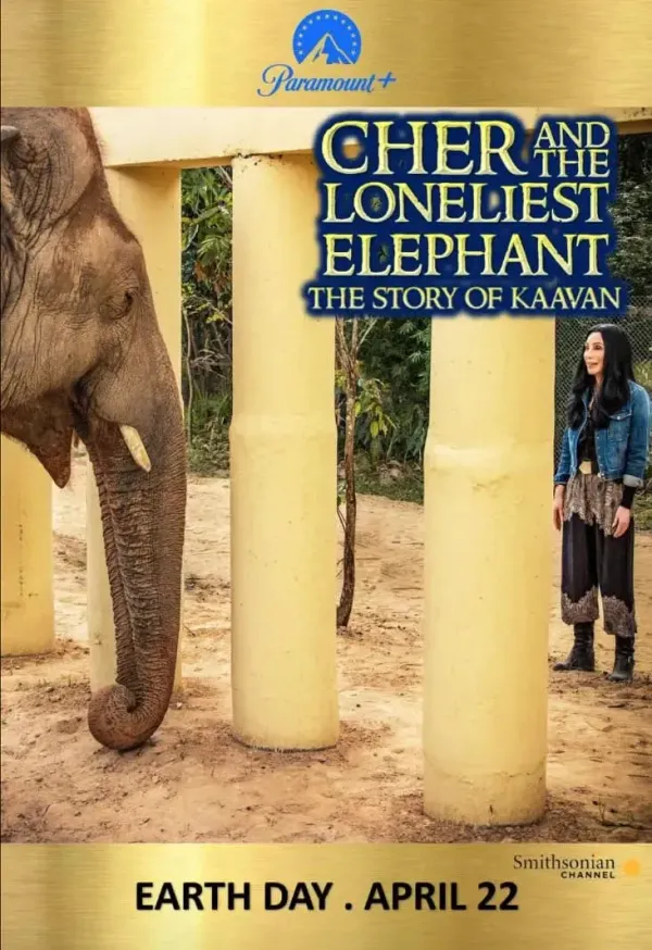 雪儿和最孤独的大象海报 - 2021 美国纪录片