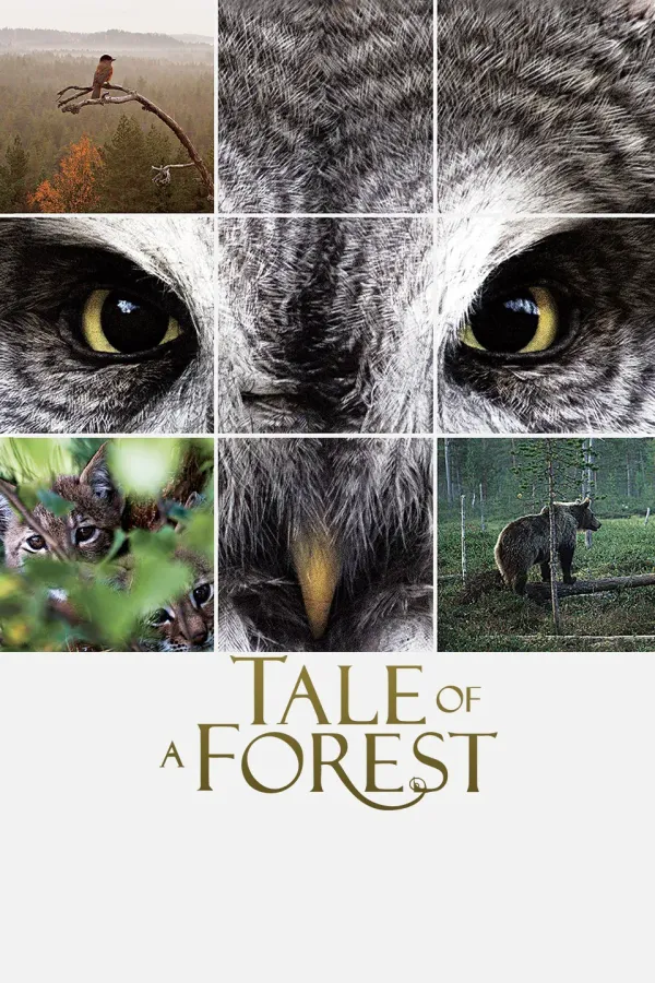 森之传说海报 - 2012 芬兰纪录片